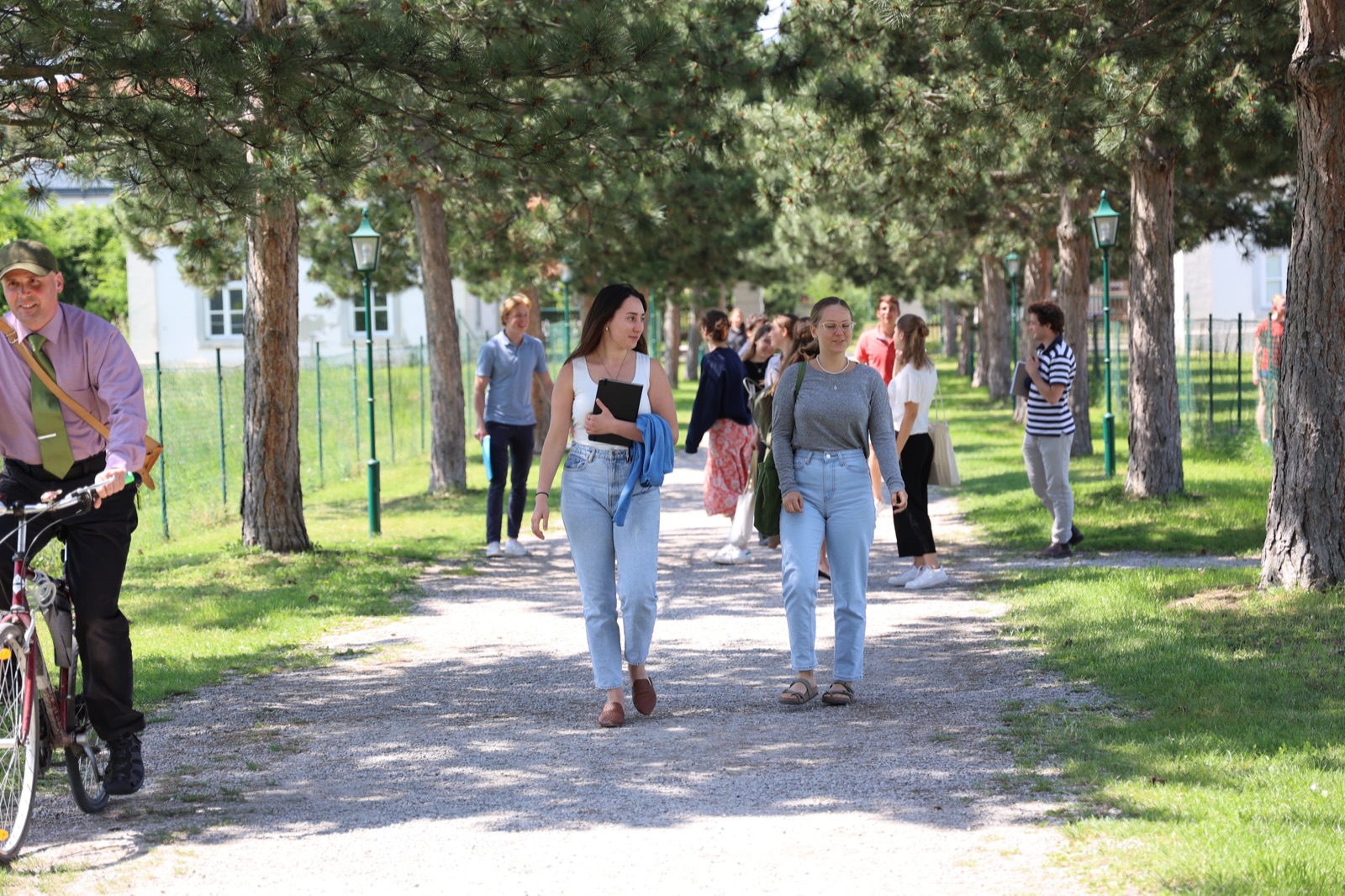 Students walking the tree-lined path to the Schloss with books