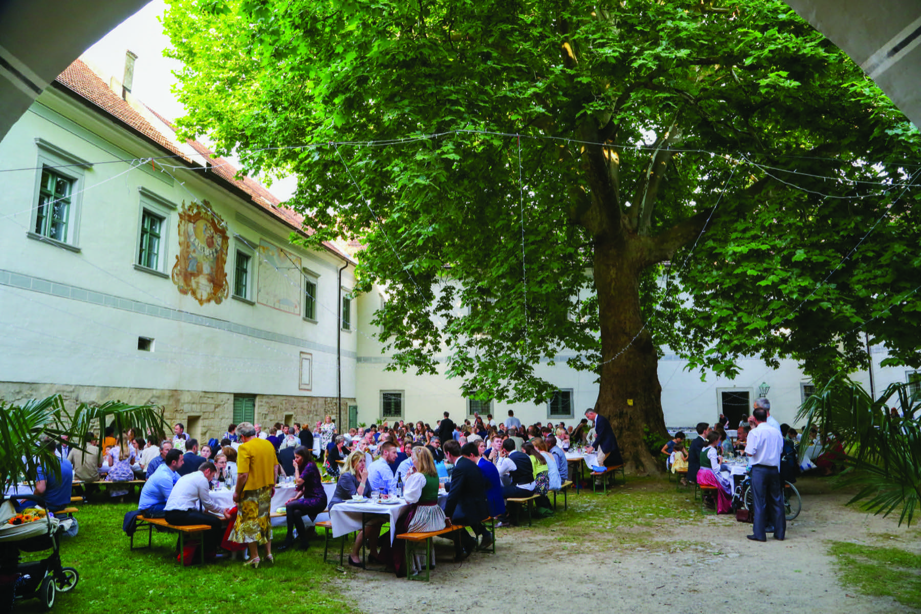 Festive dinner under the great plane tree in the Schloss courtyard