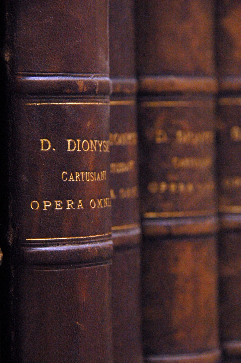 Antique leather-bound volumes on a library shelf