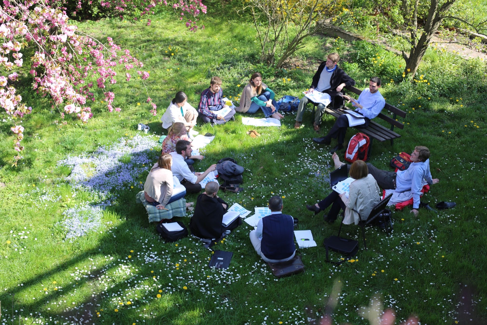 Seminar circle on a flowering meadow under a cherry tree