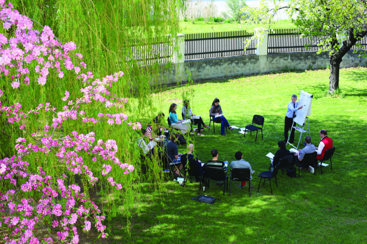 Open-air seminar on the meadow, professor at a flipchart